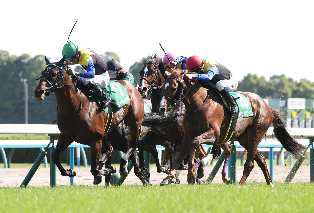 京都11R、同じ勝負服同士の接戦を制して鳴尾記念を勝利したヨーホーレイク（左）（撮影・白石智彦）