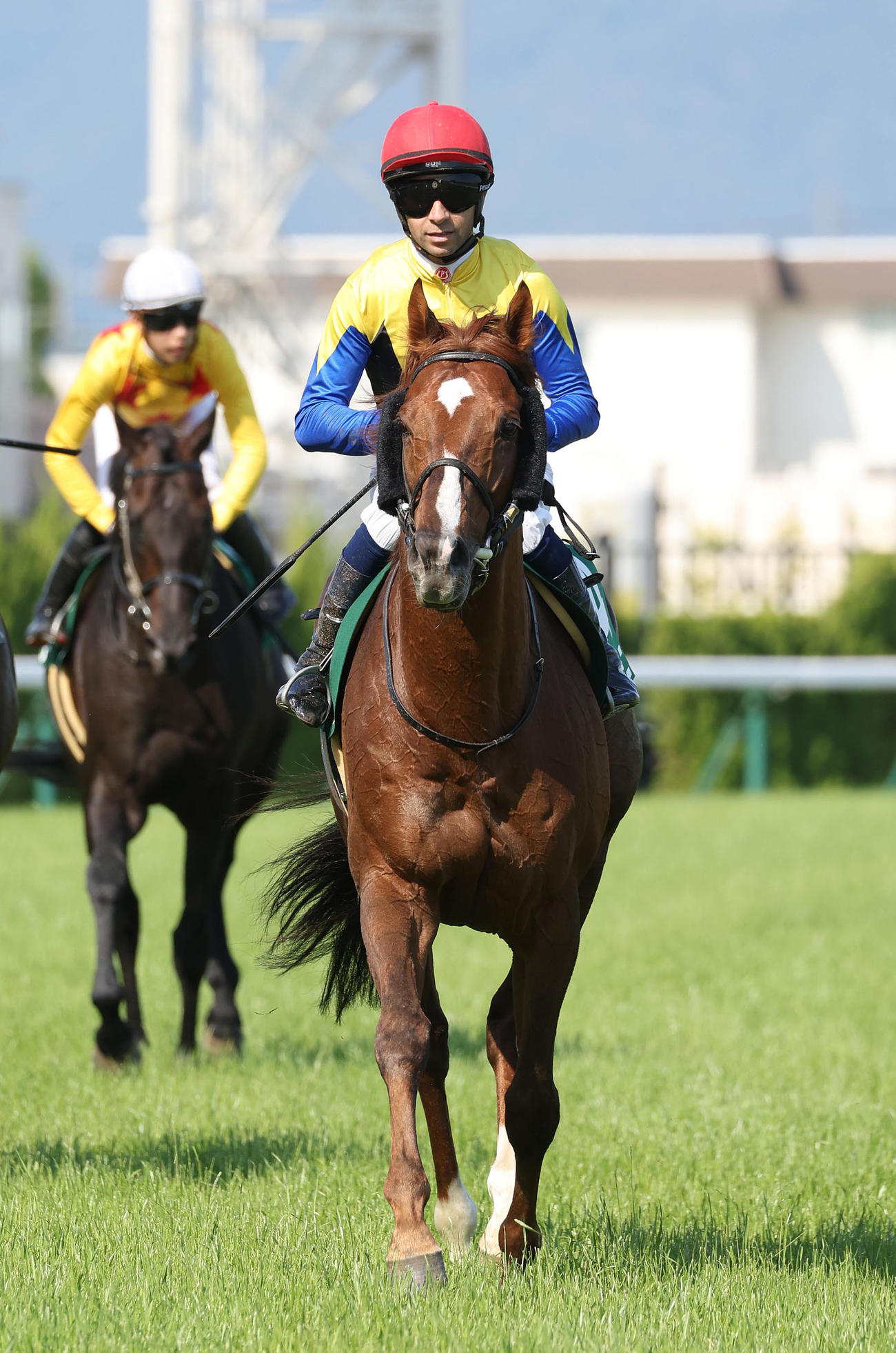 京都11R鳴尾記念、2着に敗れたボッケリーニ（撮影・白石智彦）