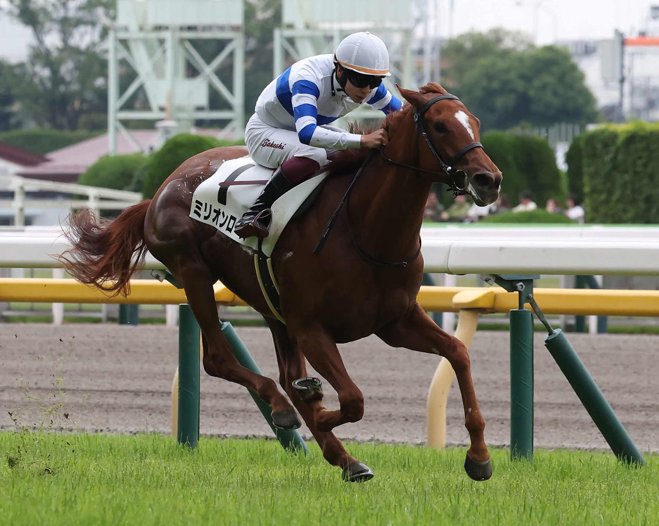東京5R新馬戦を制したミリオンローズと横山武騎手（撮影・丹羽敏通）