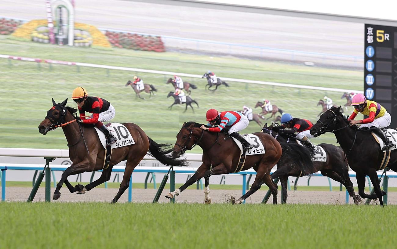 京都5R、新馬戦を制したキトンインザスカイ（左）（撮影・上田博志）