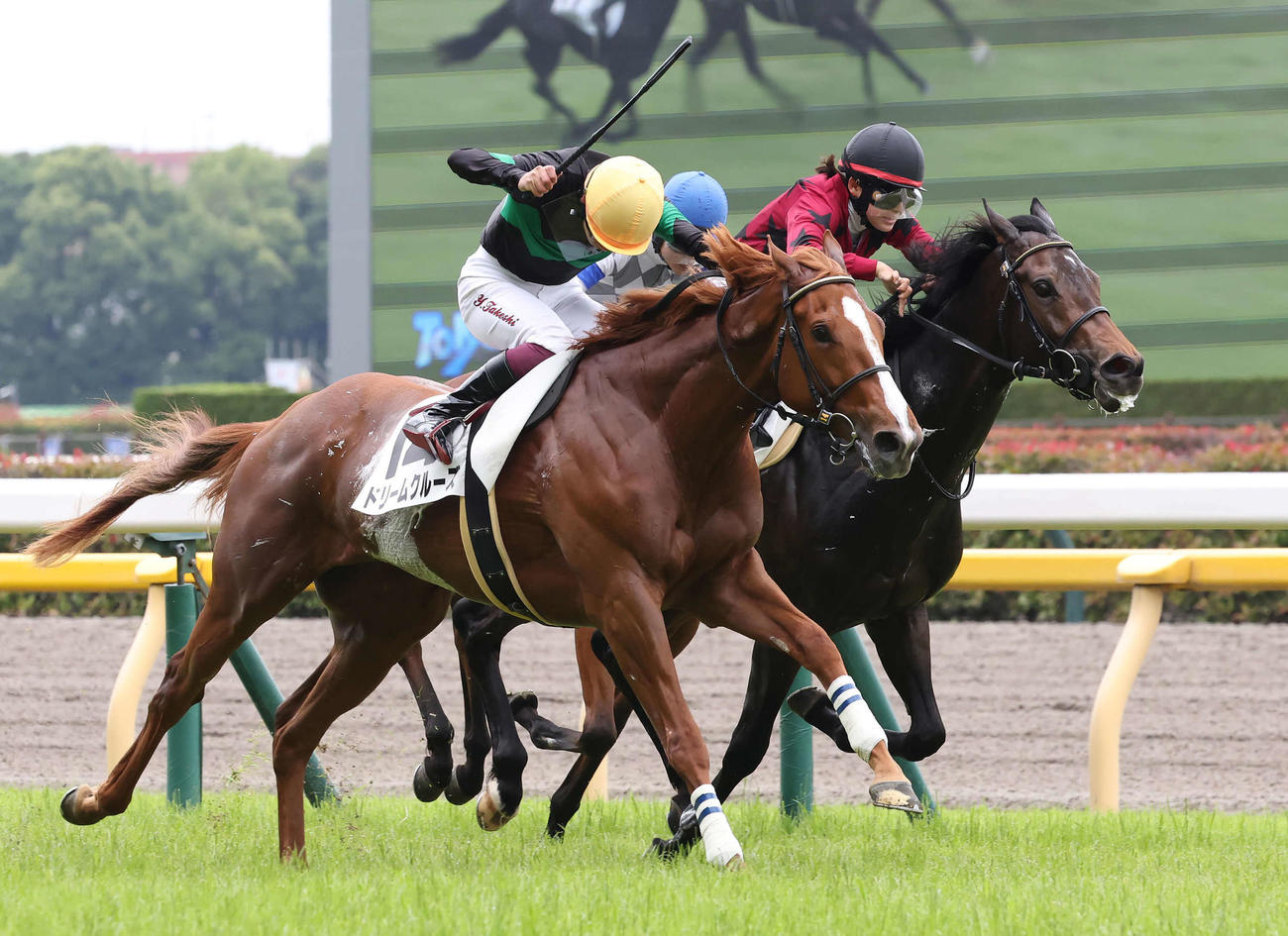東京3R、3歳未勝利戦を制したドリームクルーズと横山武騎手（手前）。奥は2着スコア（撮影・丹羽敏通）