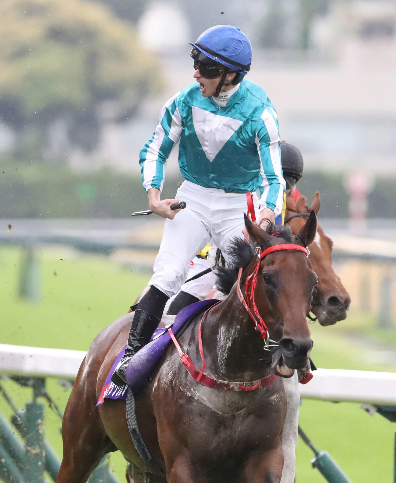 安田記念を制したロマンチックウォリアーの馬上で歓喜するマクドナルド騎手（撮影・丹羽敏通）