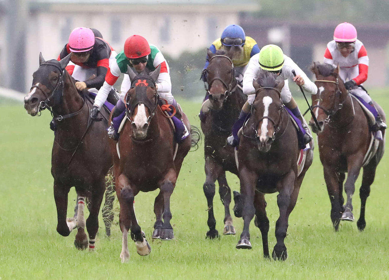 安田記念で2着になったナミュールと武豊騎手（左から2頭目）（撮影・丹羽敏通）