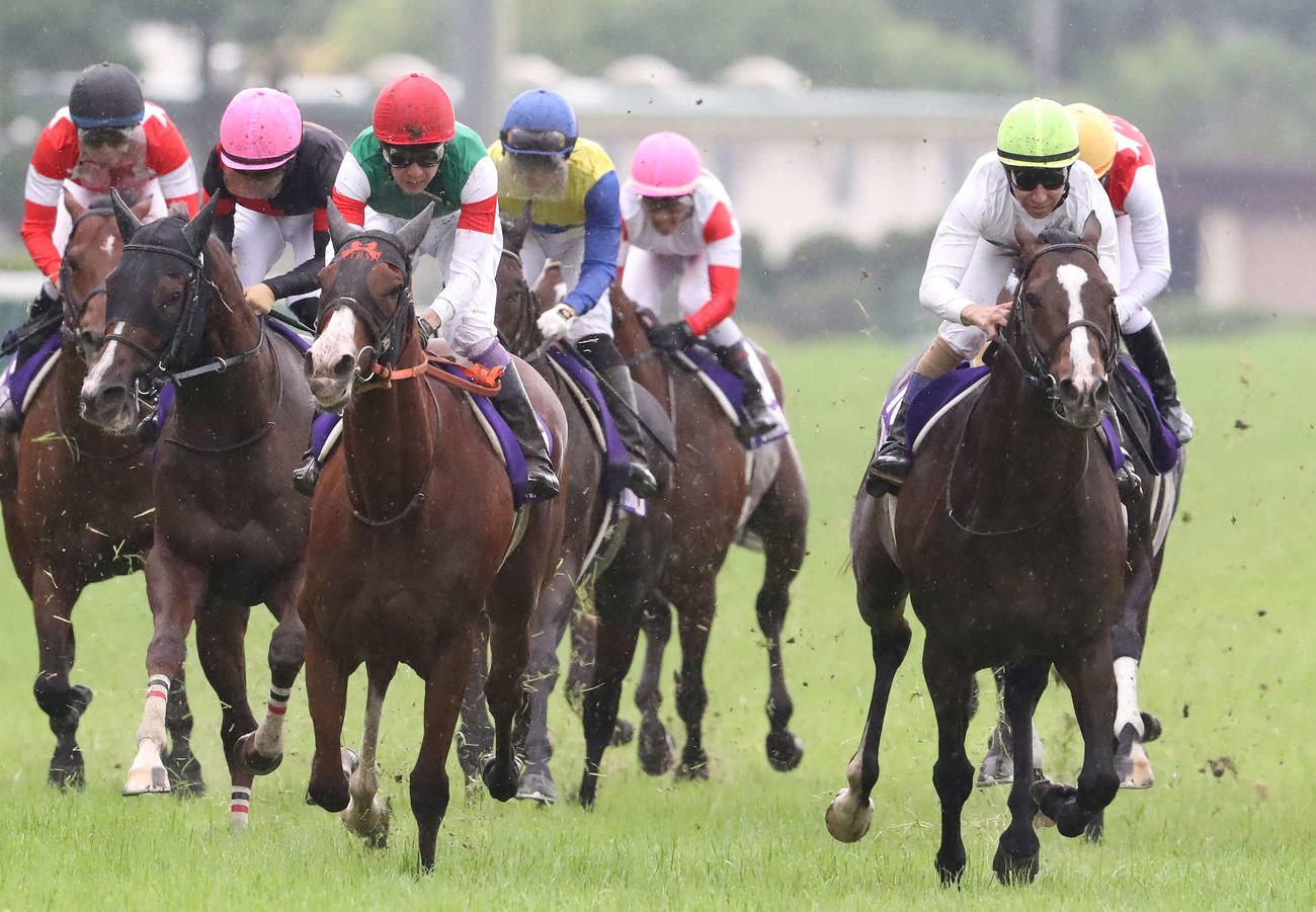 安田記念　3着ソウルラッシュ（右端）（撮影・丹羽敏通）