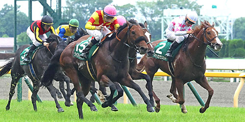エプソムCを制したジャスティンカフェと横山和騎手(中央)右は3着マテンロウスカイ(撮影・丹羽敏通)=2023年6月11日、東京競馬場