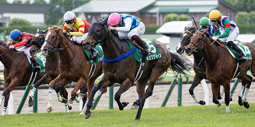 函館スプリントSを制したキミワクイーンと横山武騎手（中央）（撮影・村野早祐）＝2023年6月3日、函館競馬場