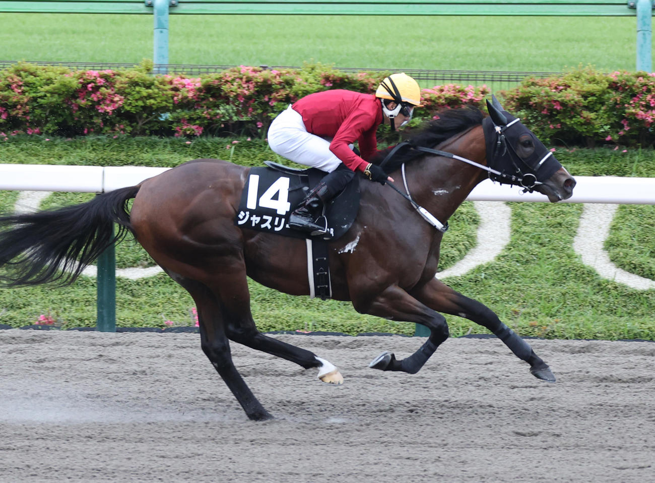 東京12Rの小金井特別を制したジャスリーと丹内騎手（撮影・柴田隆二）