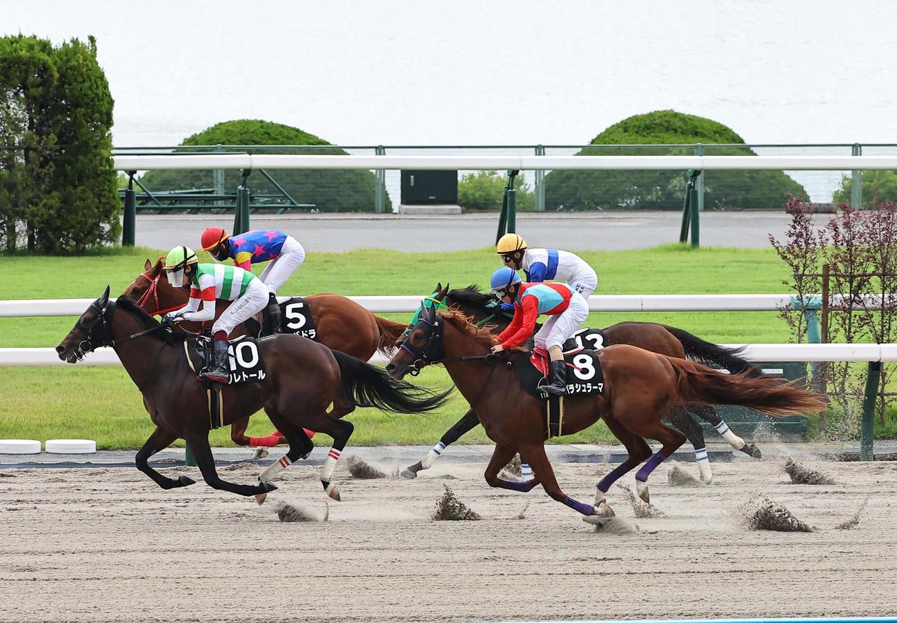 京都11R、直線で差し切り松風月Sを制したジレトール（撮影・上田博志）