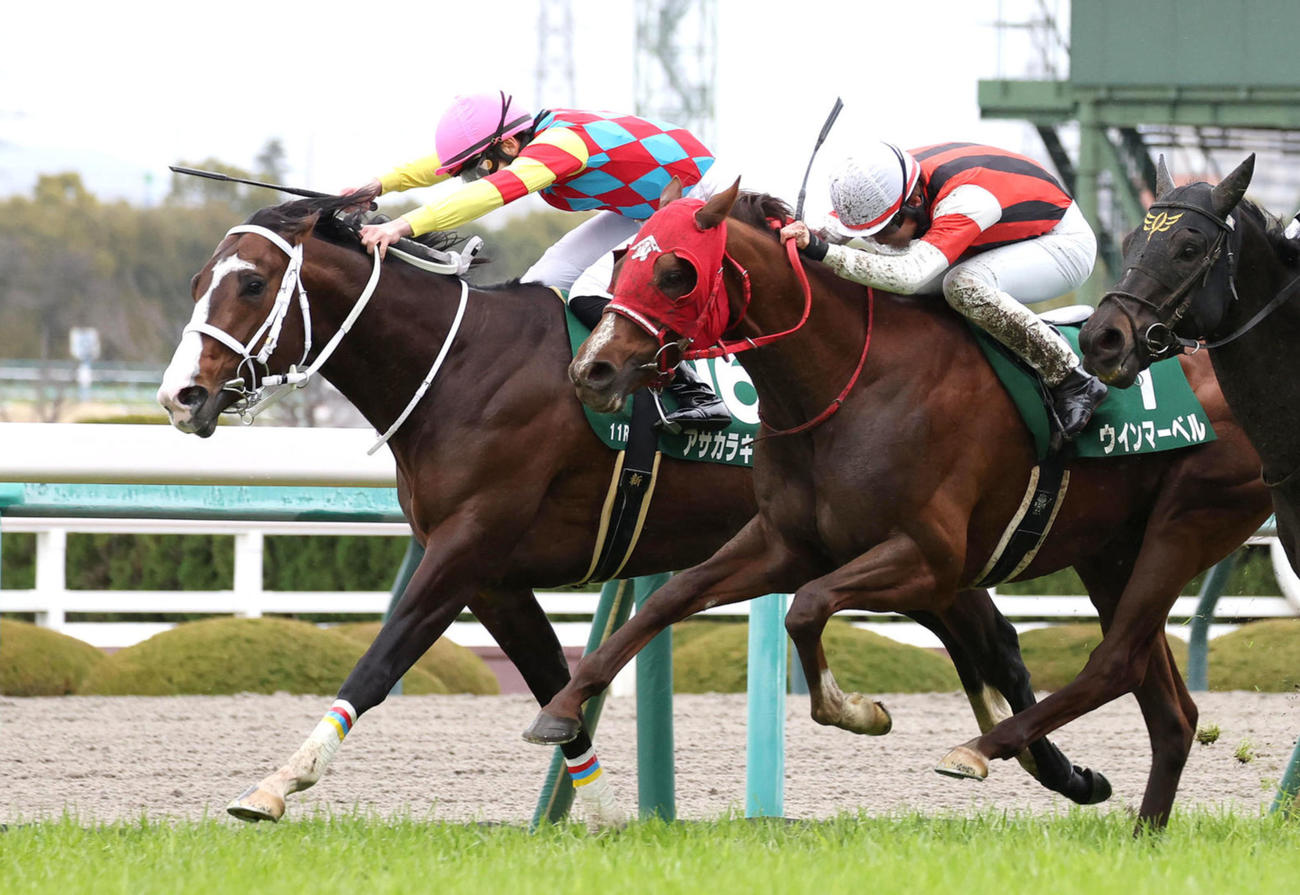 阪急杯2着のアサカラキング（左）。右は勝ったウインマーベル