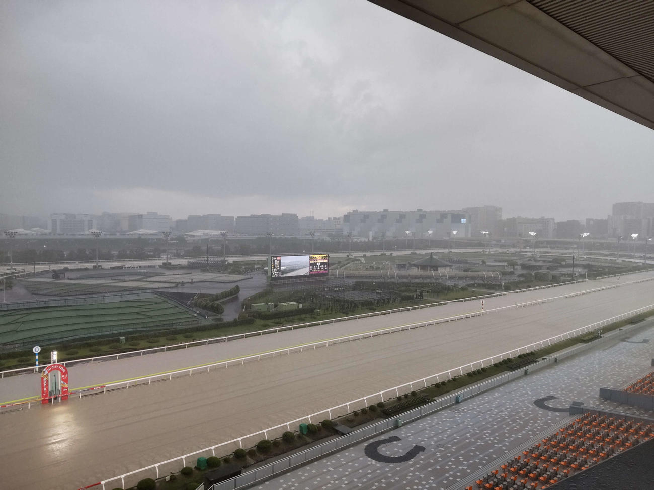 6Rの直前から降り始めた大雨により7Rが取りやめとなった大井競馬場