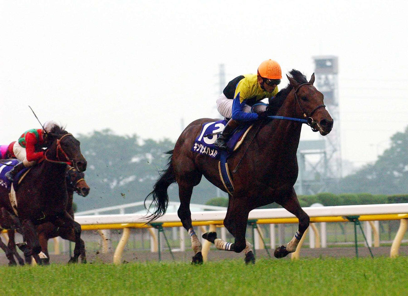 04年NHKマイルC、直線抜け出し5馬身差を付ける圧勝のキングカメハメハ