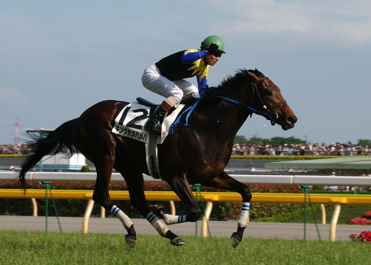 04年ダービー、直線抜け出したキングカメハメハが快勝。安藤勝己騎手は右手でガッツポーズ