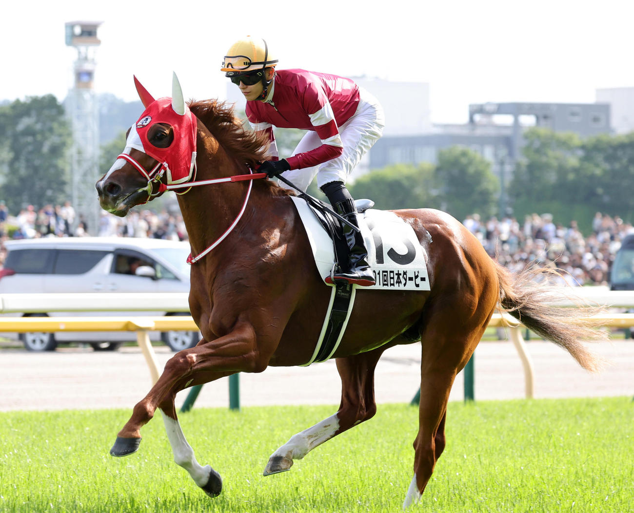 5月26日、ダービー3着に敗れたシンエンペラーと坂井瑠星騎手