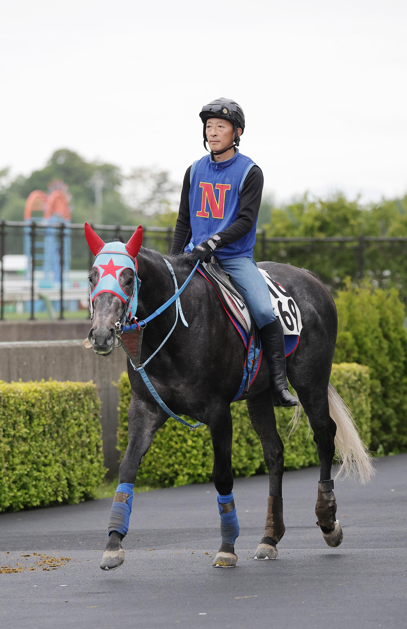 函館スプリントSに向けて、函館競馬場で調整するビッグシーザー