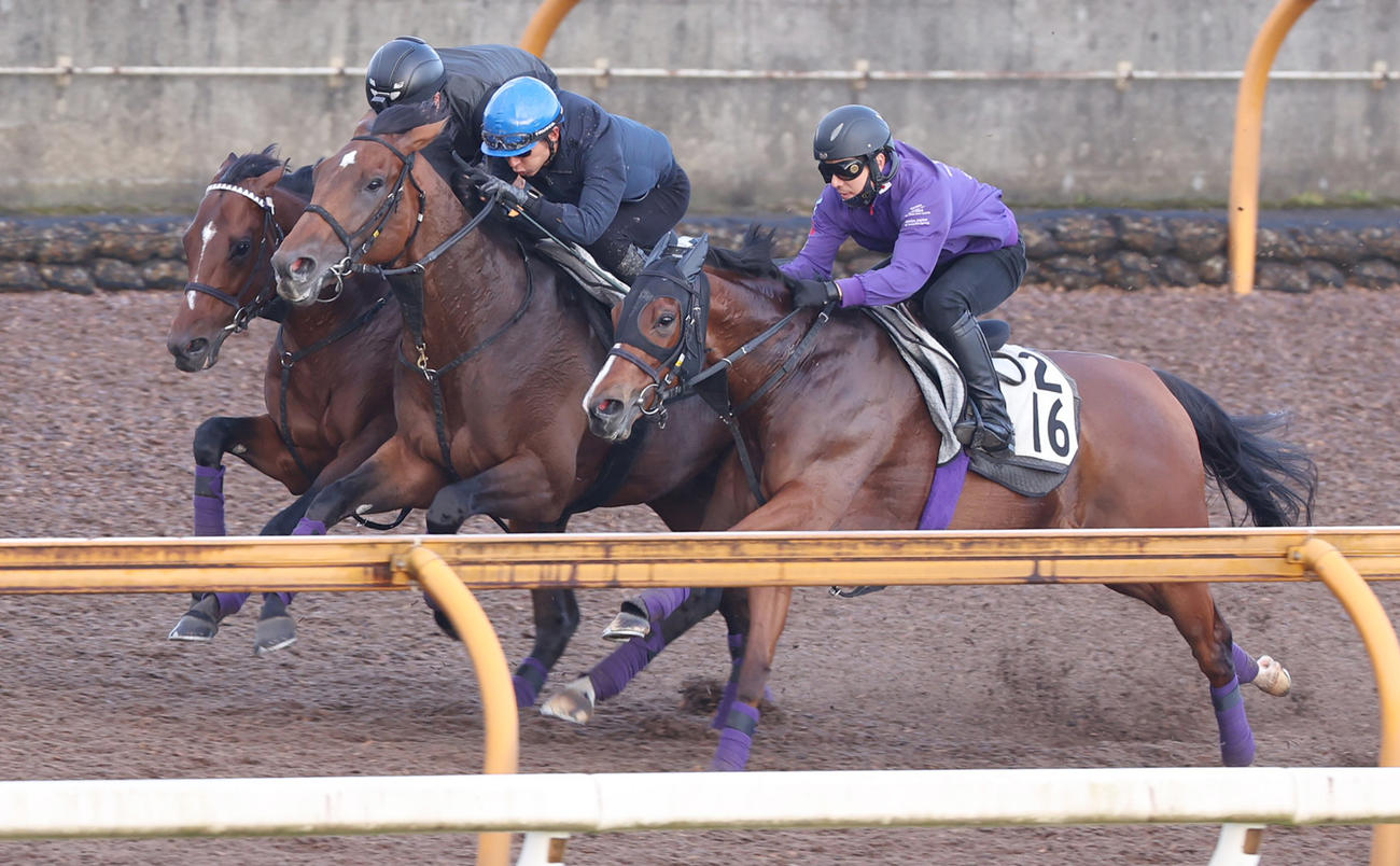 Cウッドにて3頭併せで追い切るドウデュース（左奥）