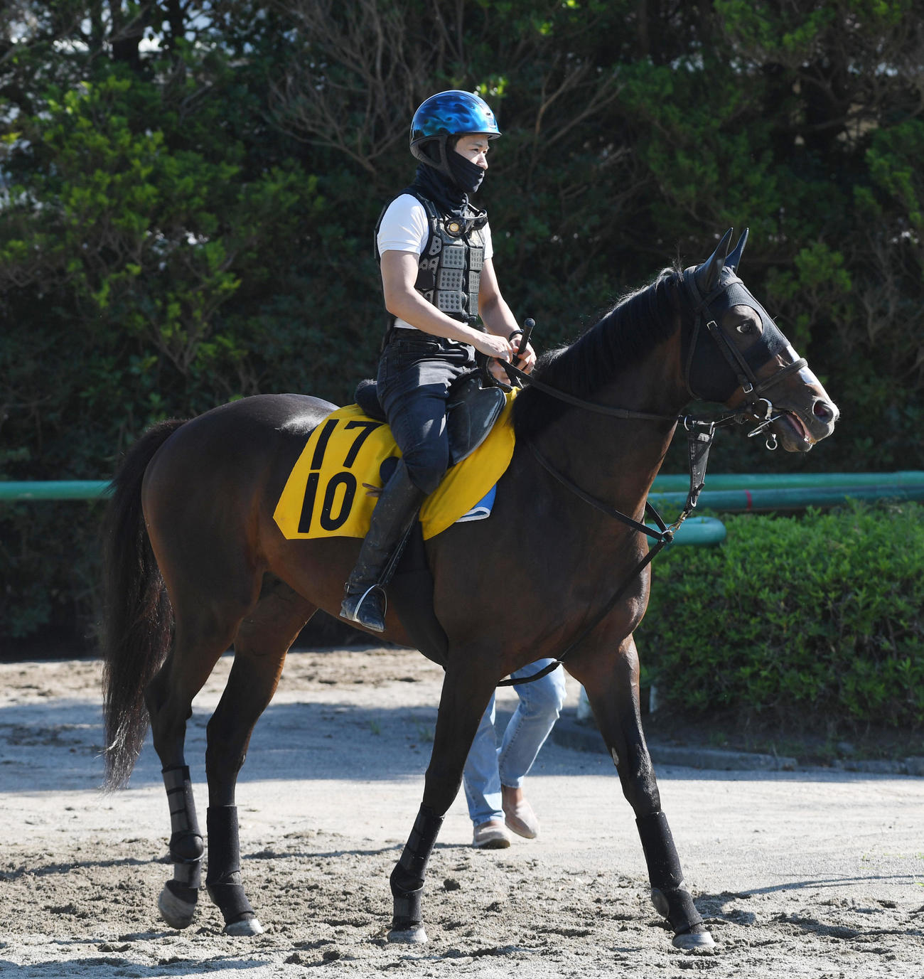 追い切りに向かうマイネルケレリウスと石川騎手（撮影・柴田隆二）