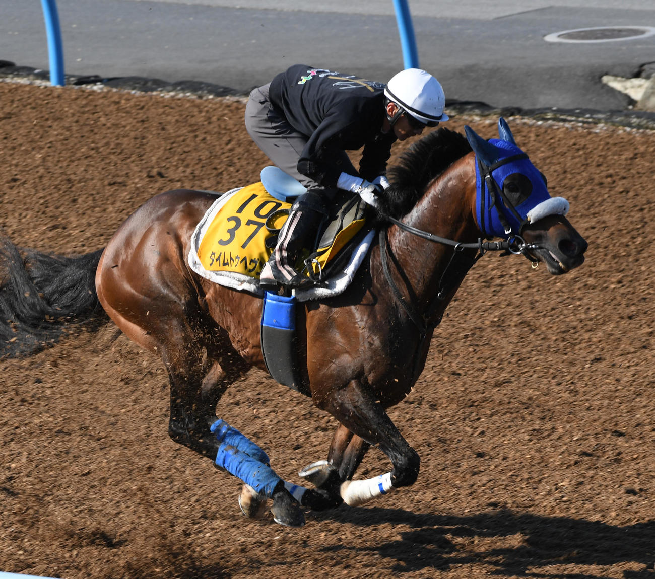 タイムトゥヘヴンはダイシンネイビーと併せで追い切る（撮影・柴田隆二）