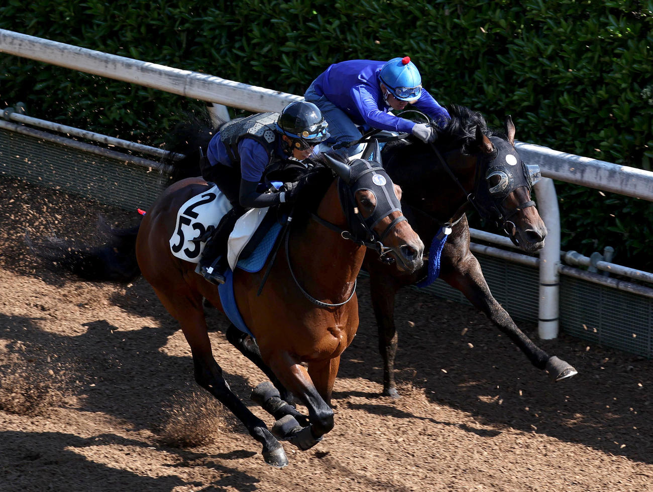 水口騎手を背に坂路をウェルカムニュース（左）と併せ馬で追い切るヴェルトライゼンデ（撮影・白石智彦）