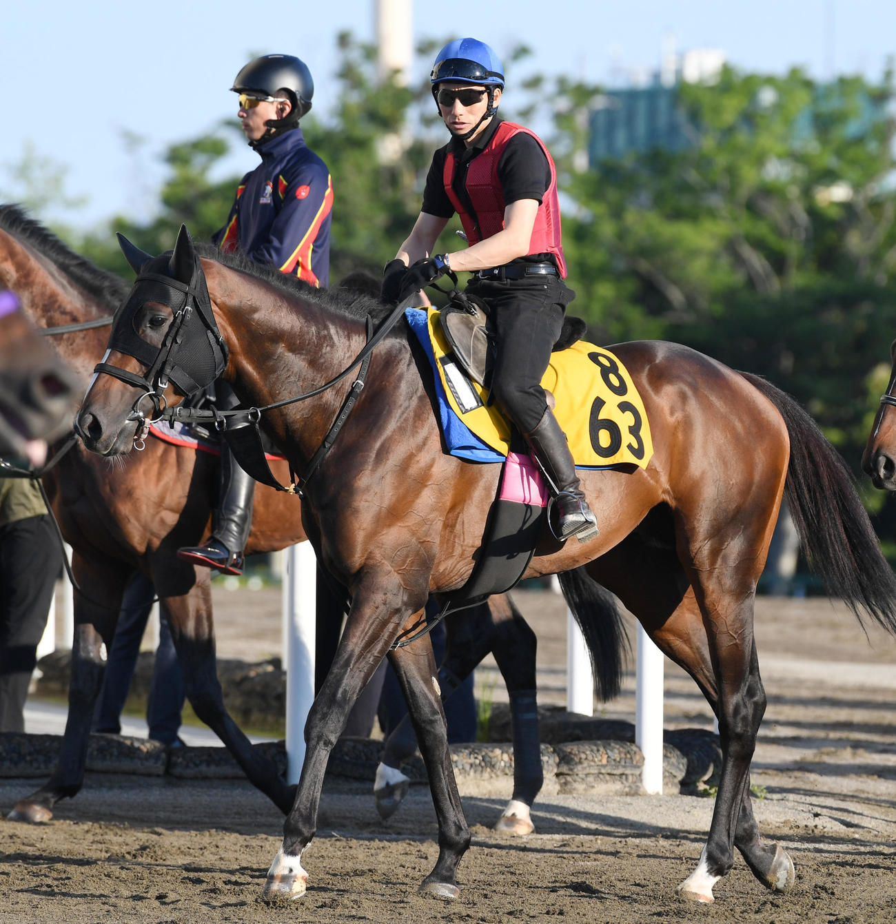 調教に向かうシルトホルンと吉田豊騎手（撮影・柴田隆二）
