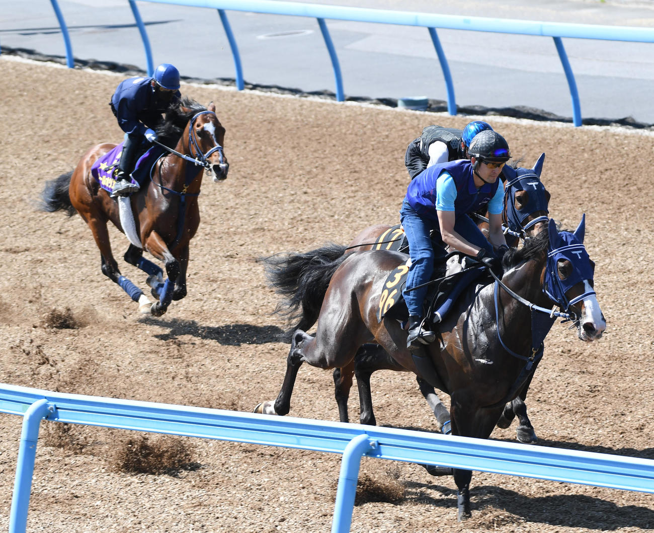 ソールオリエンス（左）はアルドール、グランアトミカ（右）と併せて追い切る（撮影・柴田隆二）
