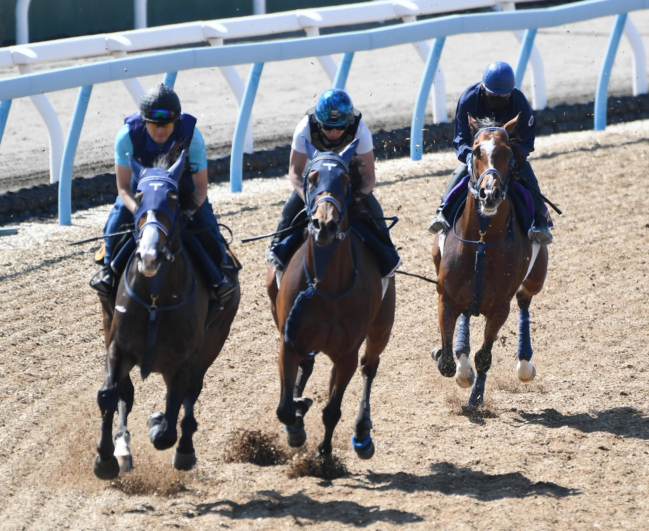 ソールオリエンス（右）はアルドール（中央）、グランアトミカと併せて追い切る（撮影・柴田隆二）