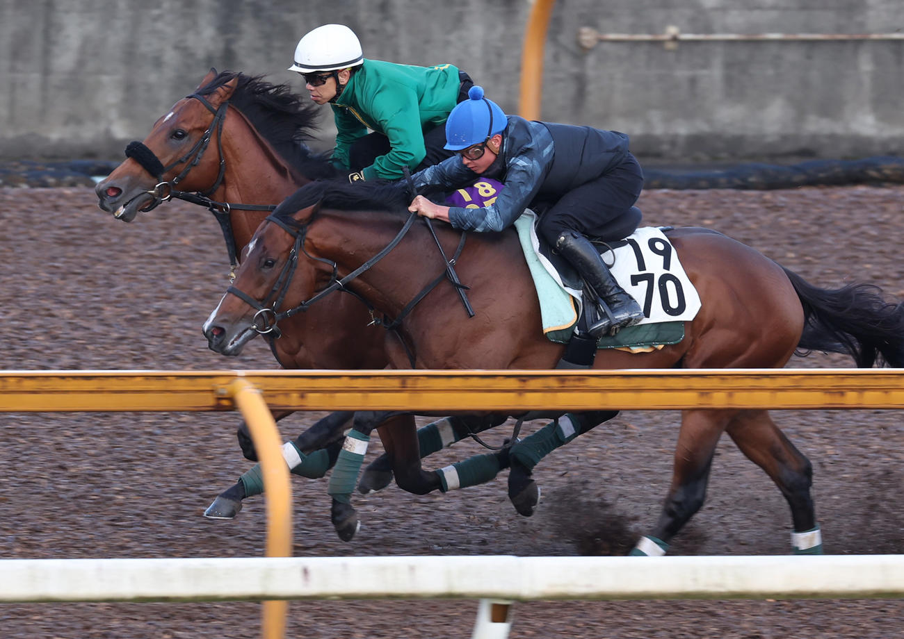 Cウッドコースにて3頭併せで追い切るベラジオオペラ（左）