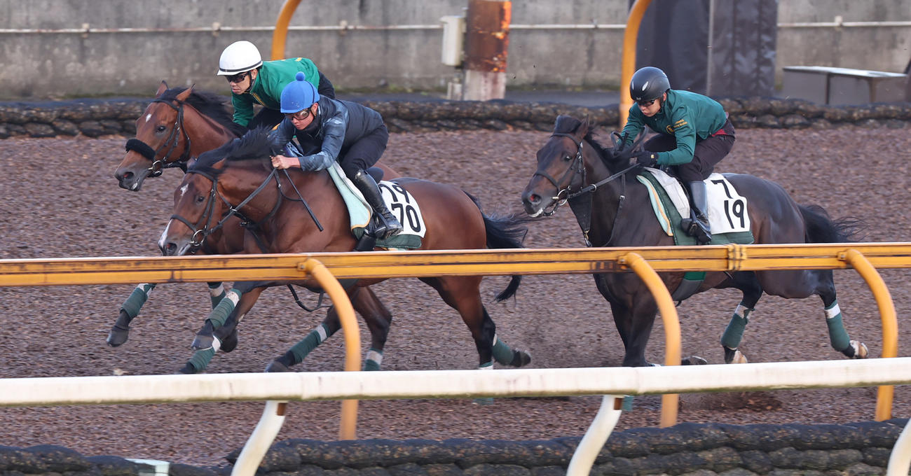 Cウッドコースにて3頭併せで追い切るベラジオオペラ（左）