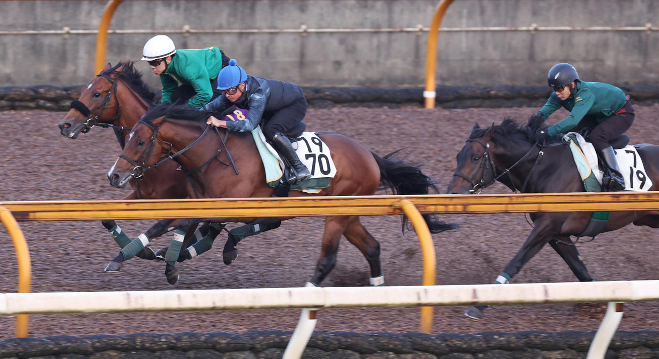 Cウッドコースにて3頭併せで追い切るベラジオオペラ（左）
