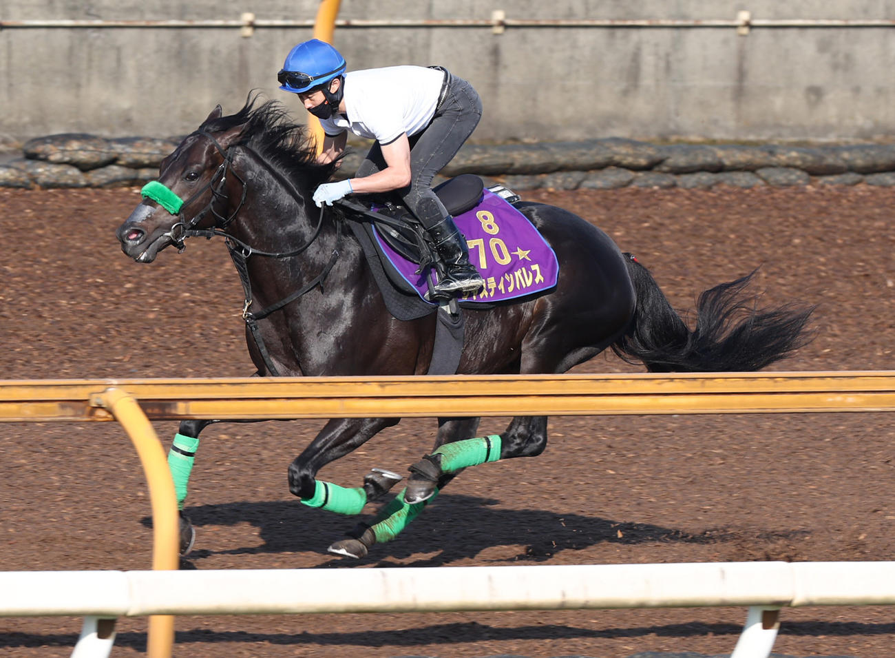 CWコースで追い切るジャスティンパレス