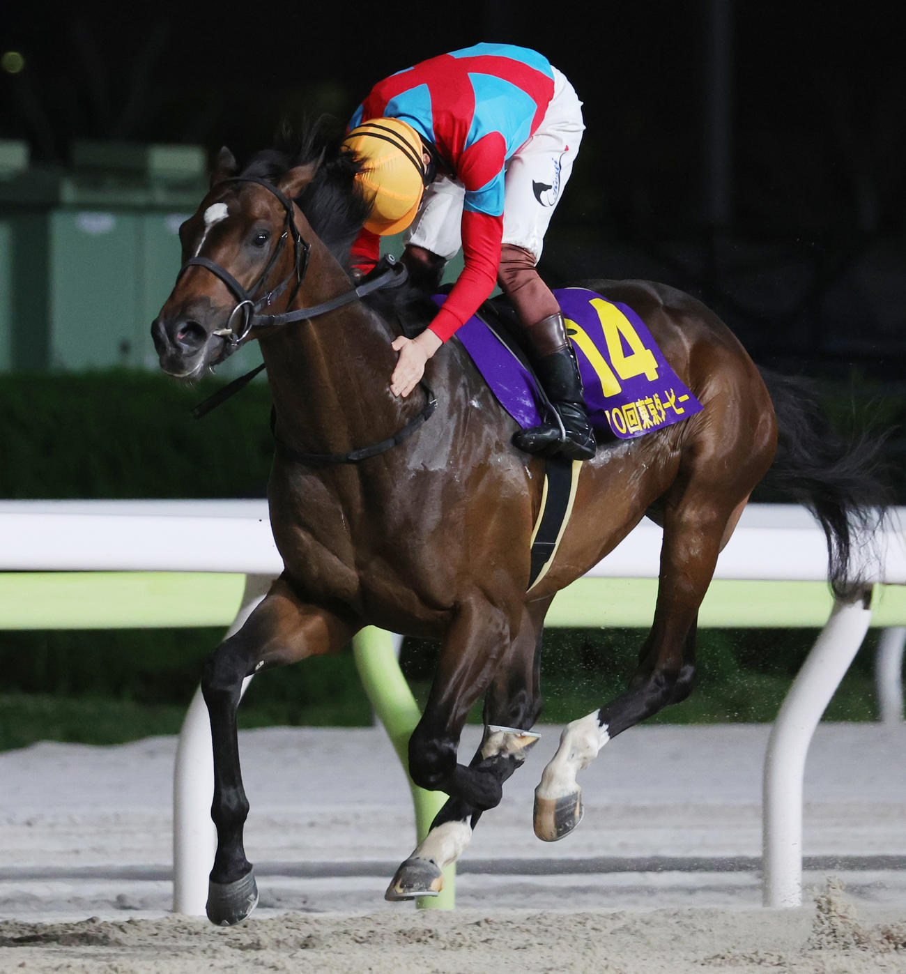 東京ダービーを制したラムジェットと三浦皇成騎手（撮影・野上伸悟）