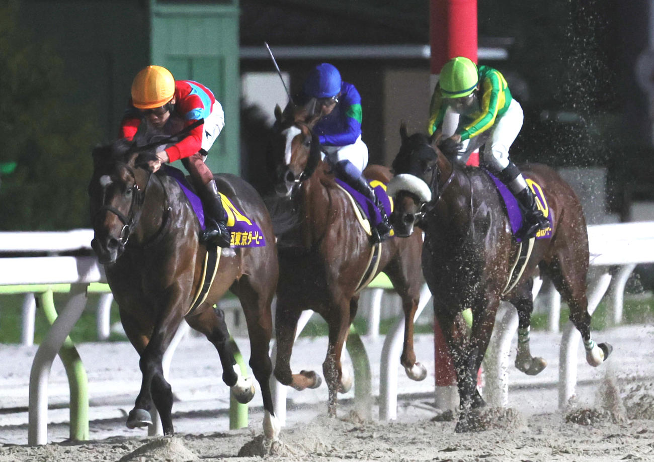 東京ダービー3着に敗れたアンモシエラと坂井瑠星騎手（中央）左は勝ったラムジェット（撮影・野上伸悟）