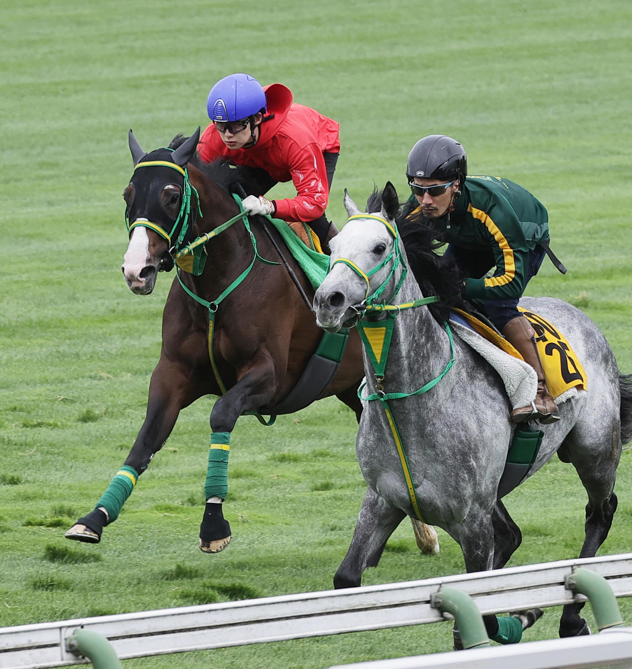 函館芝コースで併せ馬で追い切られるアサカラキング（左）