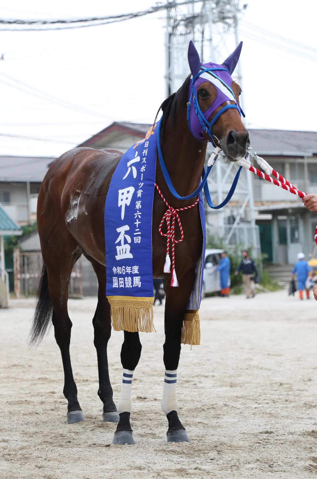 六甲盃を制したラッキードリーム