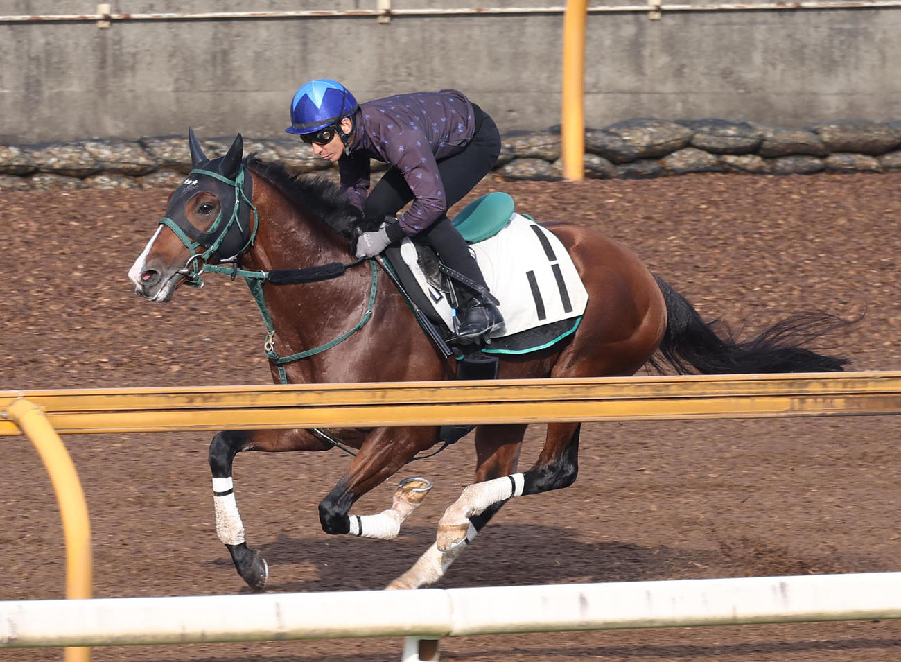 横山典騎手を背にCウッドを単走で追い切るアルナシーム（撮影・白石智彦）