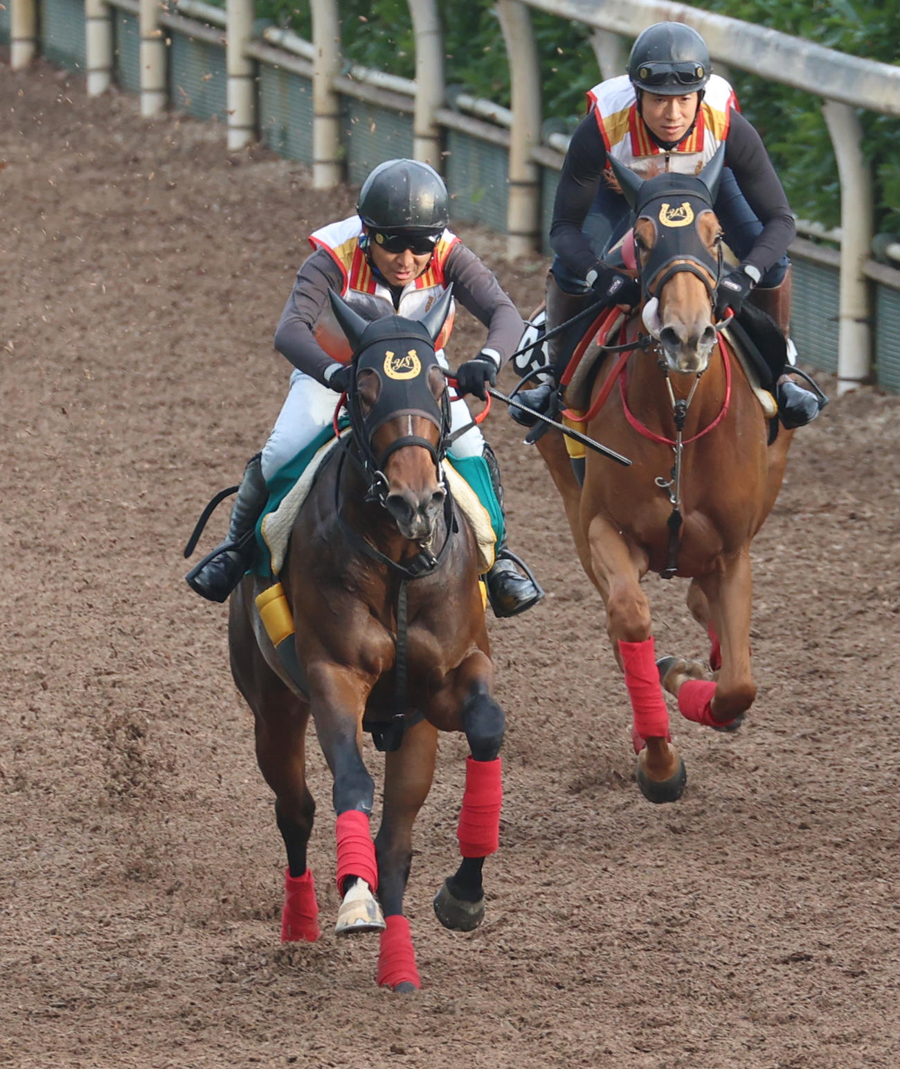 坂路にて併せ馬で追い切るネーブルオレンジ（左）