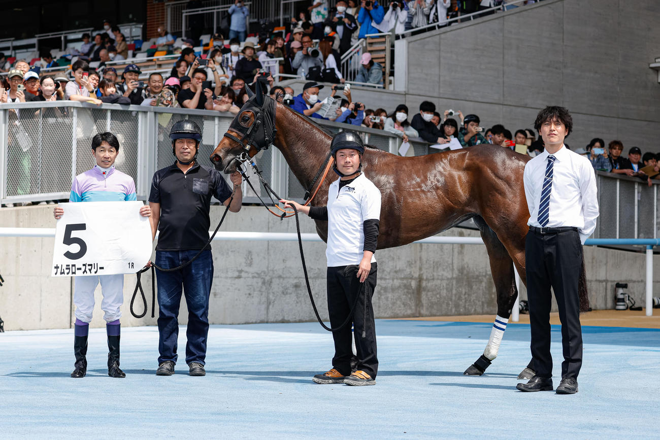 函館1Rを制したナムラローズマリーと武豊騎手（撮影・村野早祐）