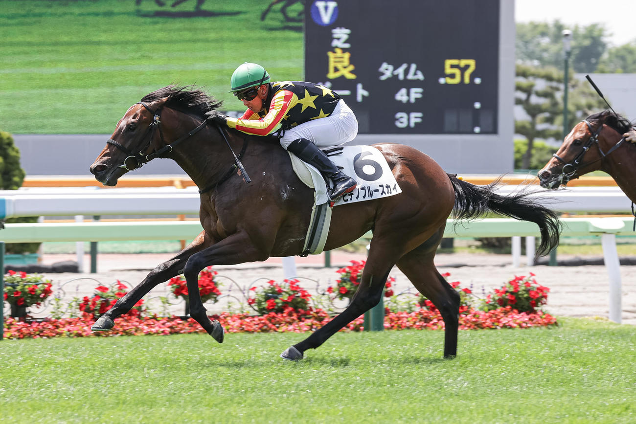 デビュー戦を制したヒデノブルースカイと高杉騎手（撮影・村野早祐）