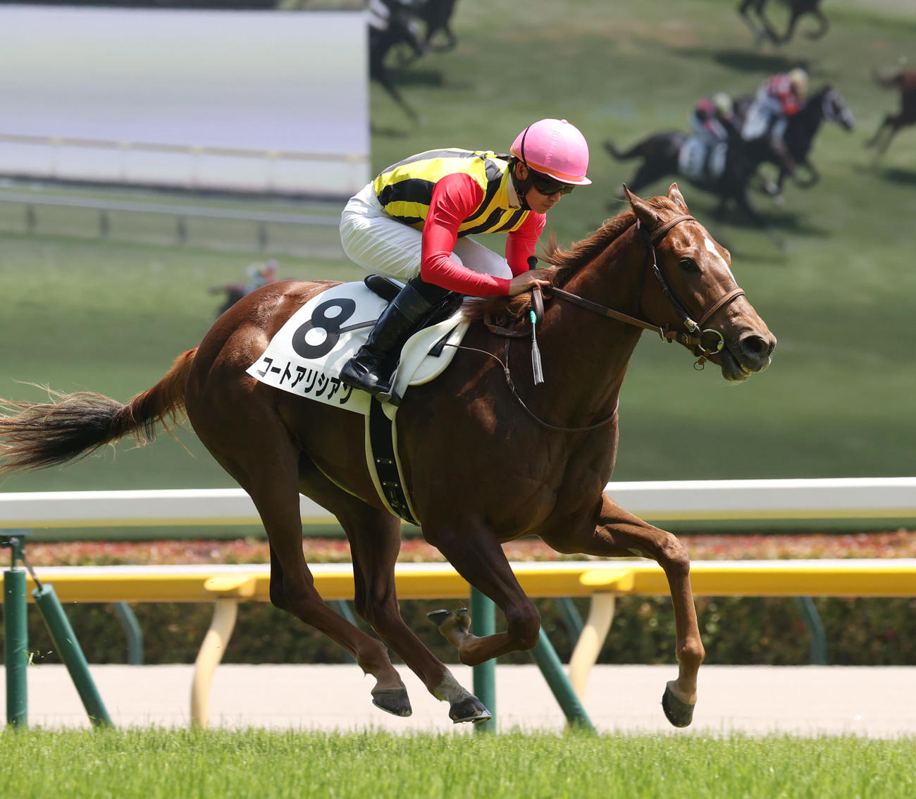 デビュー戦を制したコートアリシアンと菅原明騎手（撮影・柴田隆二）