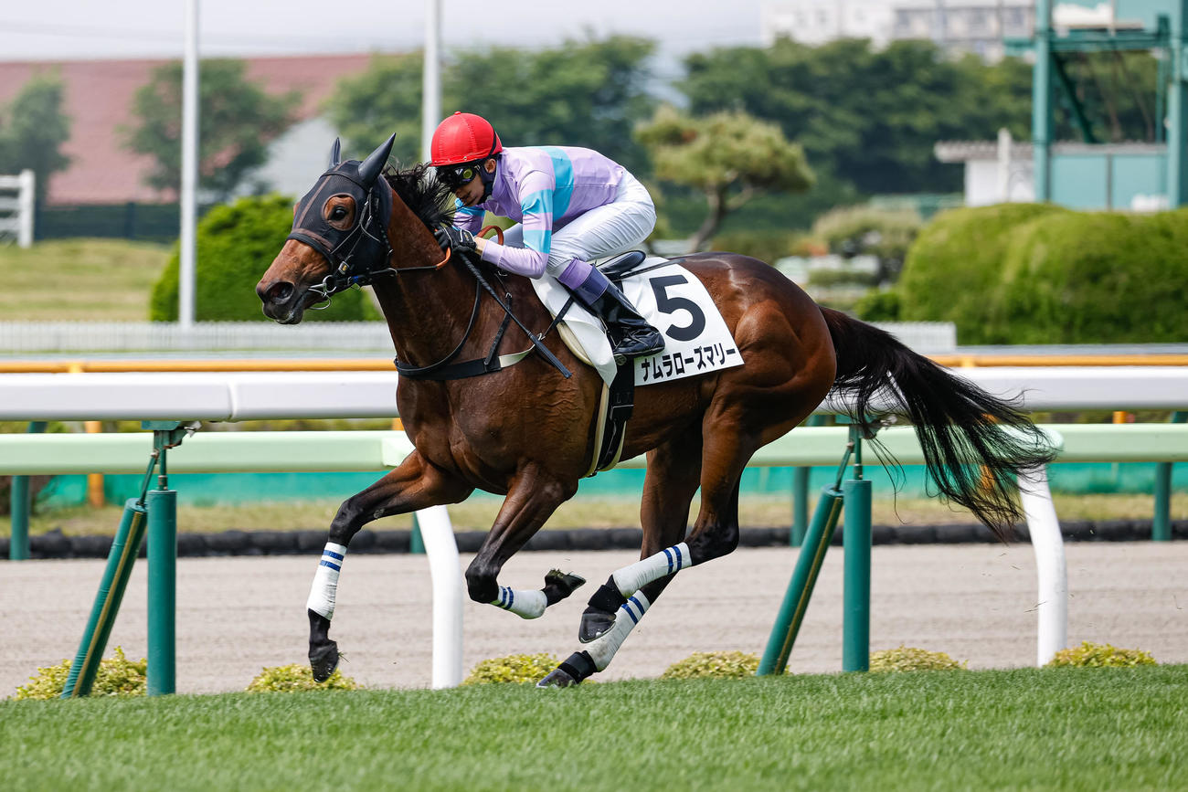 函館1Rを制したナムラローズマリーと武豊騎手（撮影・村野早祐）