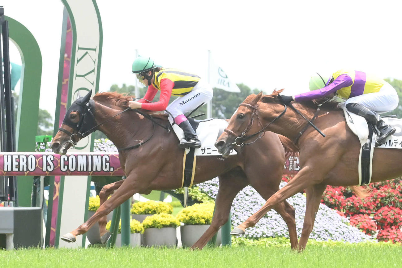 京都5R、先行逃げ切りで新馬戦を制したサニーサルサ（左）（撮影・滝沢美穂子）