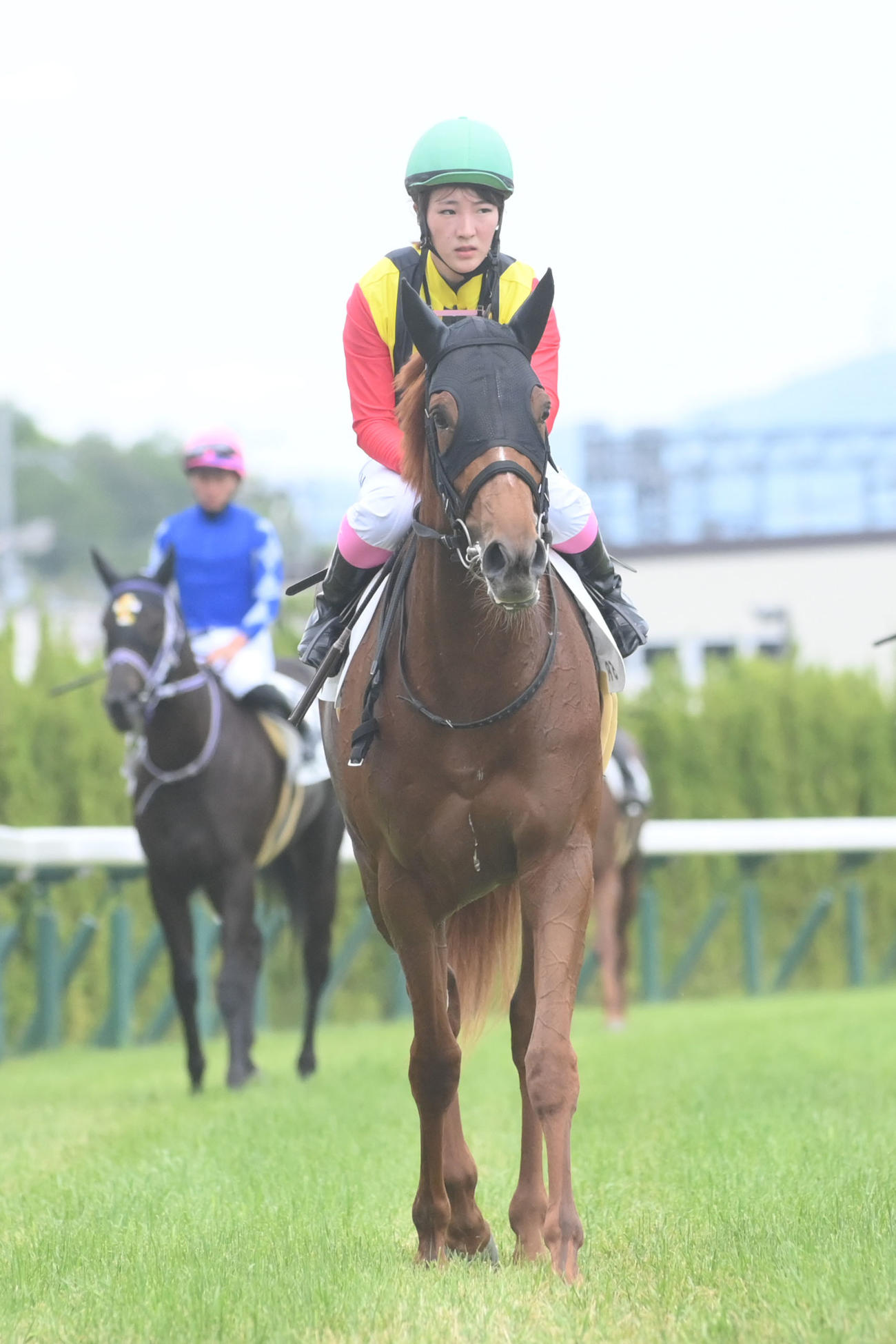 京都競馬5R 1着でゴールしたサニーサルサと永島騎手（撮影・滝沢美穂子）