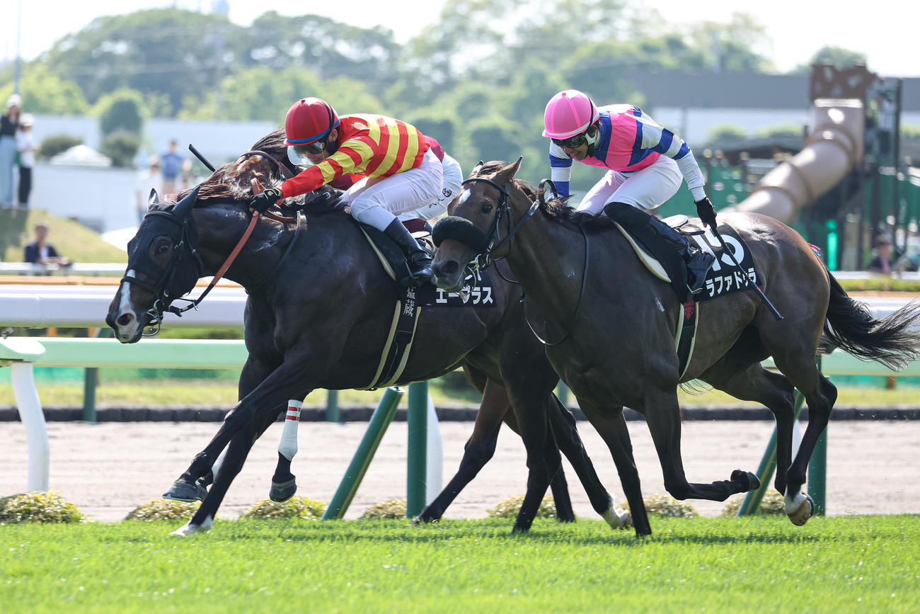 松前特別を制したエープラスと永野騎手（左）（撮影・村野早祐）