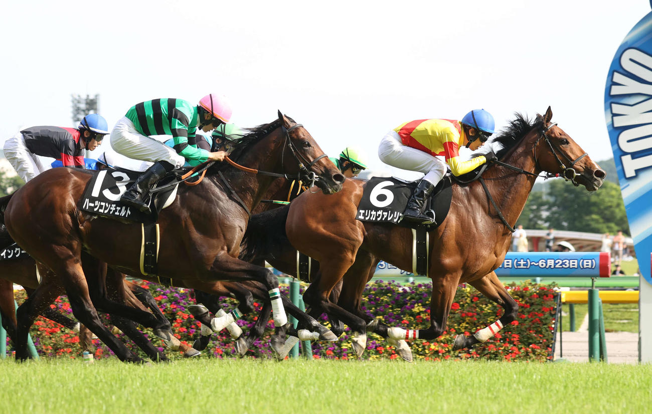 ジューンSを制したエリカヴァレリア（右）、2着ハーツコンチェルト（左）（撮影・柴田隆二）