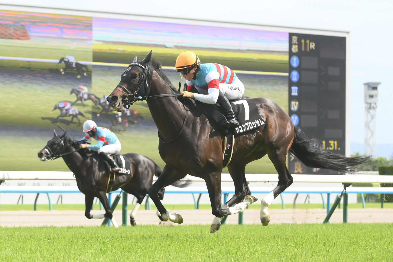 京都11R水無月Sを制したジュンブロッサムと川田騎手（撮影・滝沢美穂子）