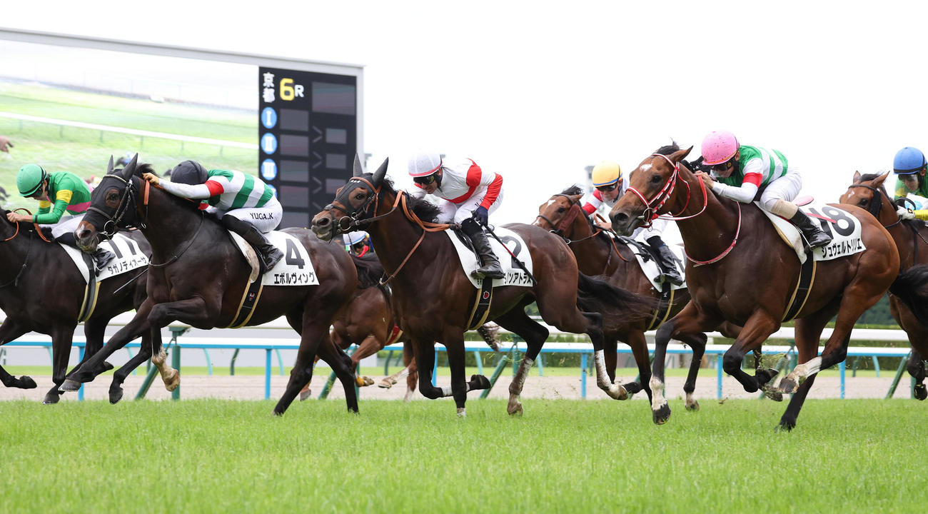 京都6R・3歳未勝利、シュヴェルトリリエ（右）の追い込みを退けて勝ち上がったエボルヴィング（左）