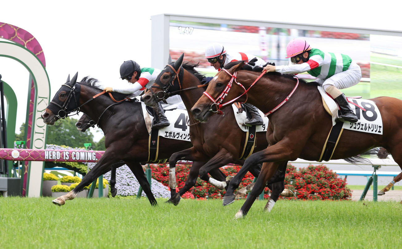 京都6R・3歳未勝利、シュヴェルトリリエ（右）の追い込みを退けて勝ち上がったエボルヴィング（左）