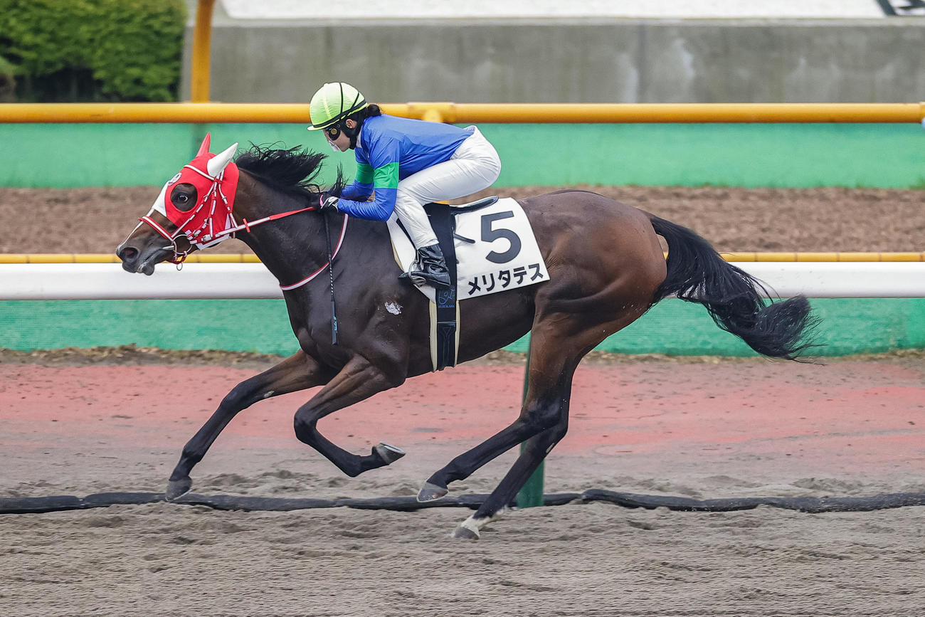 函館12Rを勝利したメリタテスと古川奈騎手（撮影・村野早祐）