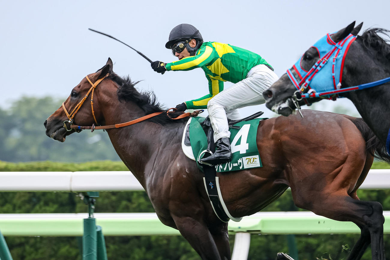 函館スプリントSを制したサトノレーヴと浜中騎手（撮影・村野早祐）