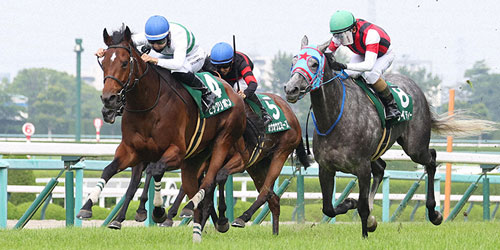 ビッグリボン（左）がマーメイドSを制した（撮影・白石智彦）＝2023年6月18日、阪神競馬場