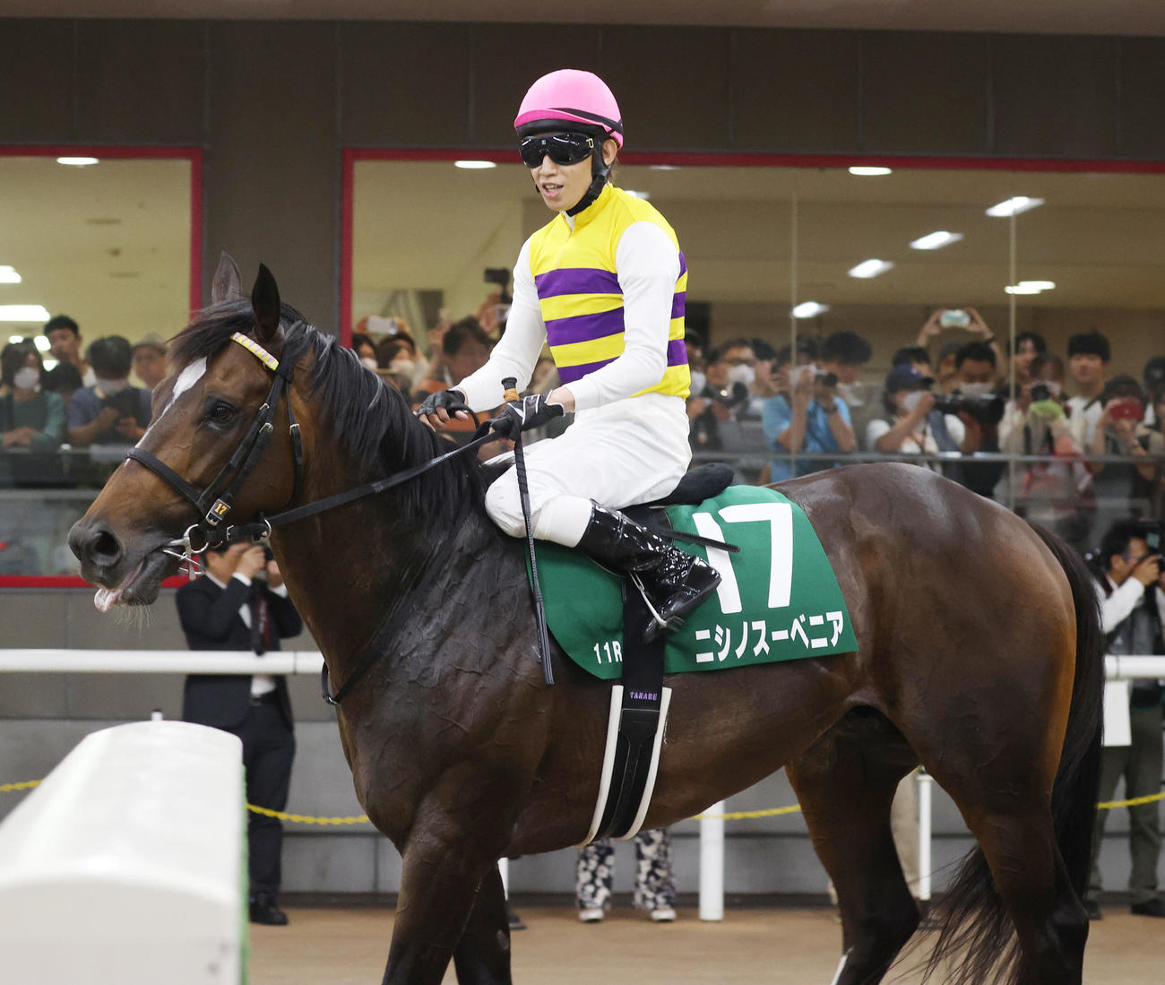 エプソムCで2着のニシノスーベニアと田辺裕信騎手（撮影・柴田隆二）